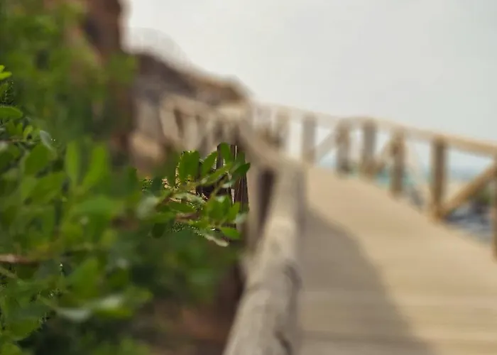 La Casetta De Conil Junto A La Playa וילה קוניל דה לה פרונטרה